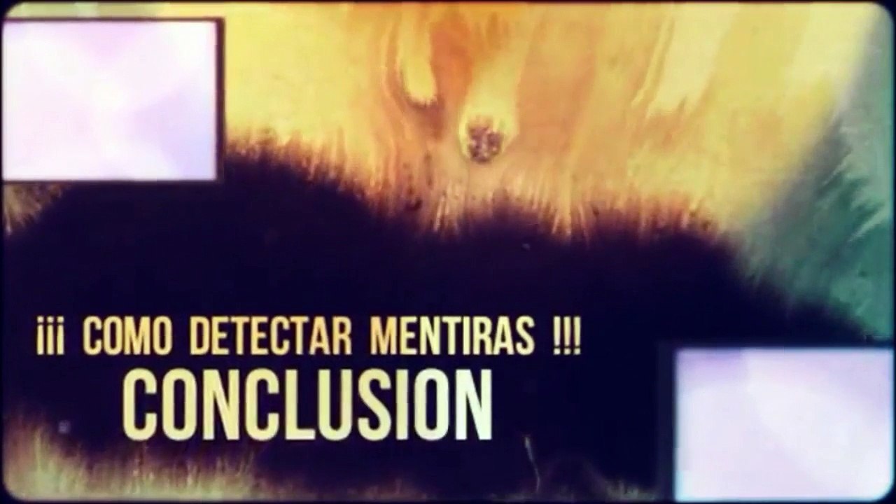 11. Conclusión