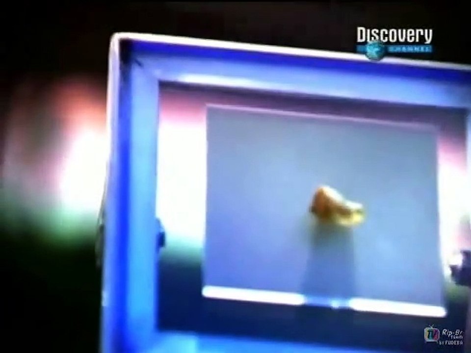 008 - O Segredo das Coisas - Aparelhos Auditivos