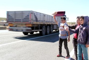 Bingöl Topladıkları Meyveleri Satıp Okul Harçlıklarını Çıkarıyorlar