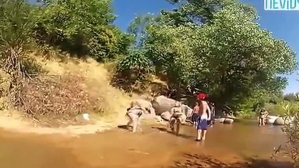 Sahilde Bikinili Kızlar Kavga Ederse