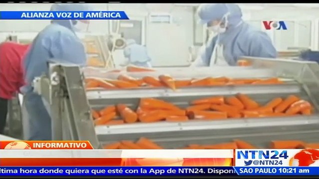 “La agricultura tiene la necesidad de trabajadores extranjeros”: presidente de la Coalición Agrícola de EE.UU.