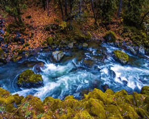 ENSTRUMANTAL FON MÜZİKLERİ  Uzak Eller