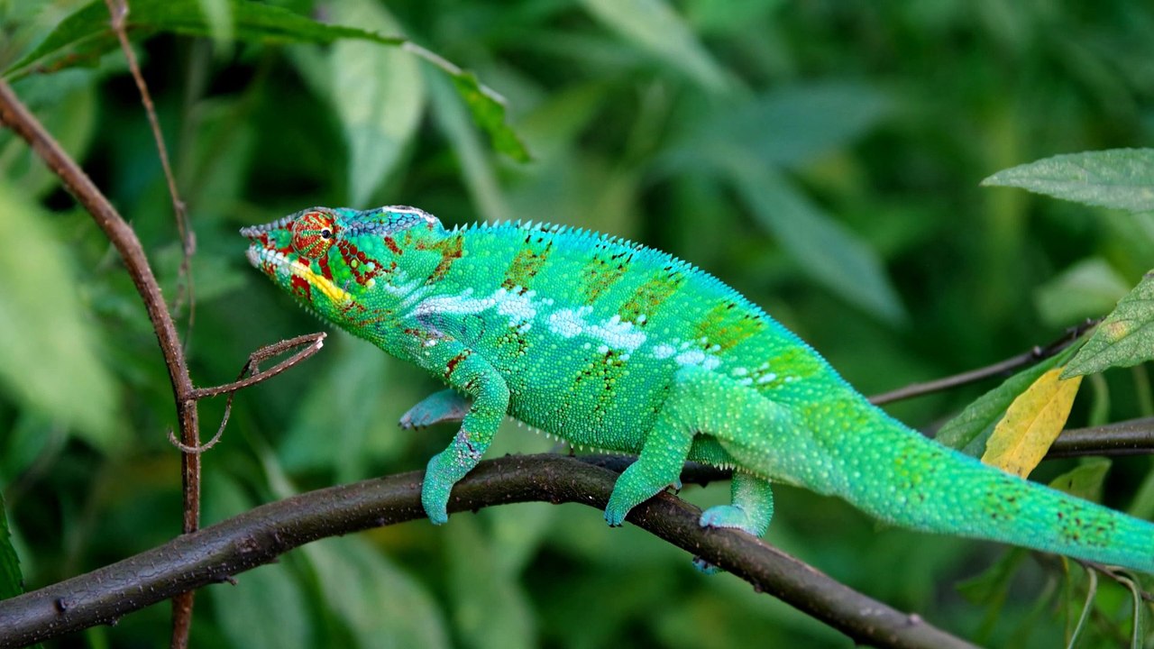 Madagaskar 2016