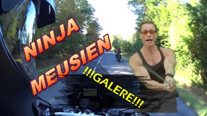 mon observation moto #6# plaque folle!!!!