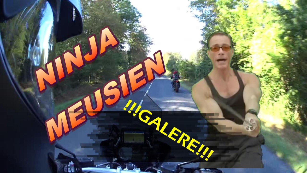 mon observation moto #6# plaque folle!!!!