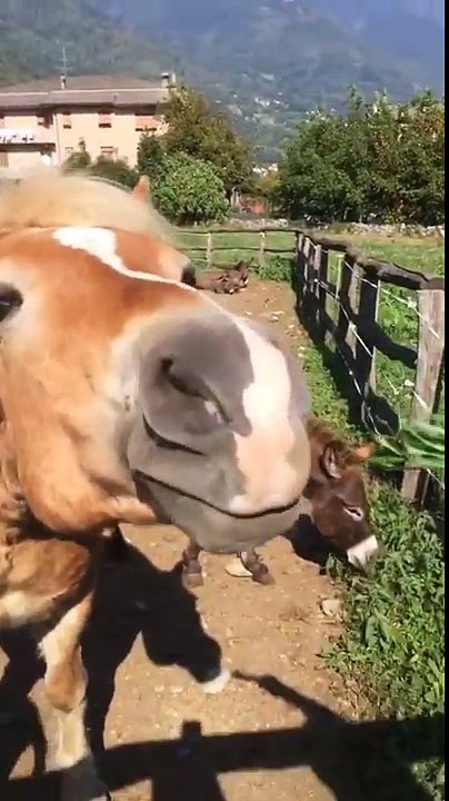 Zero Assoluto - Instagram Stories 29.09.2016