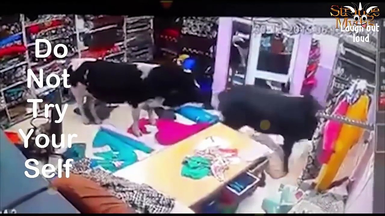 Whatsapp Funny Videos 2016 - Only Happens In India