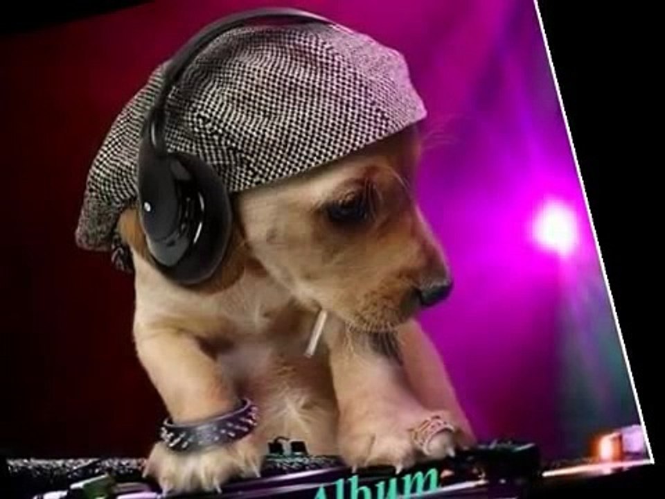 Dj-Dogg Feat.Bengi Dutty feat. B.I.X. Joker Elsey Exklusiv