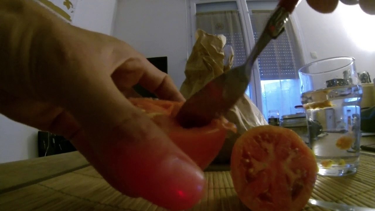Comment récuperer des graines de tomates.