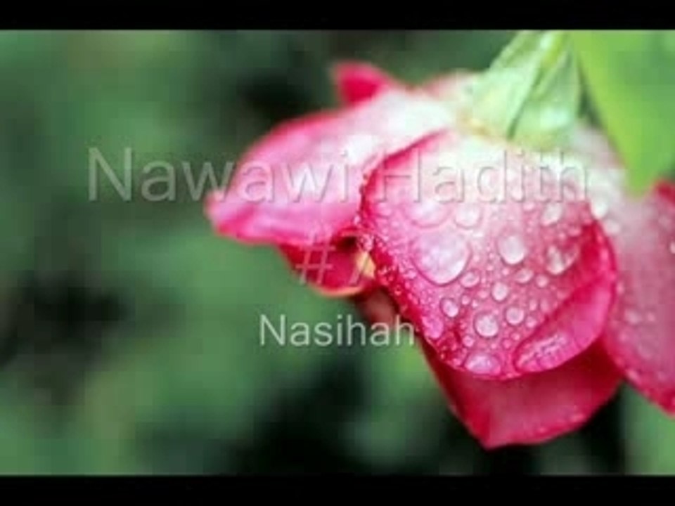 Nasiha - Guter Rat Islam Iman Quran Allah