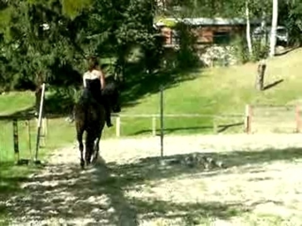 Détente au galop de mon Loulou