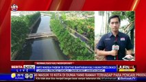 Pemprov DKI Segera Normalisasi Kali Mookervart