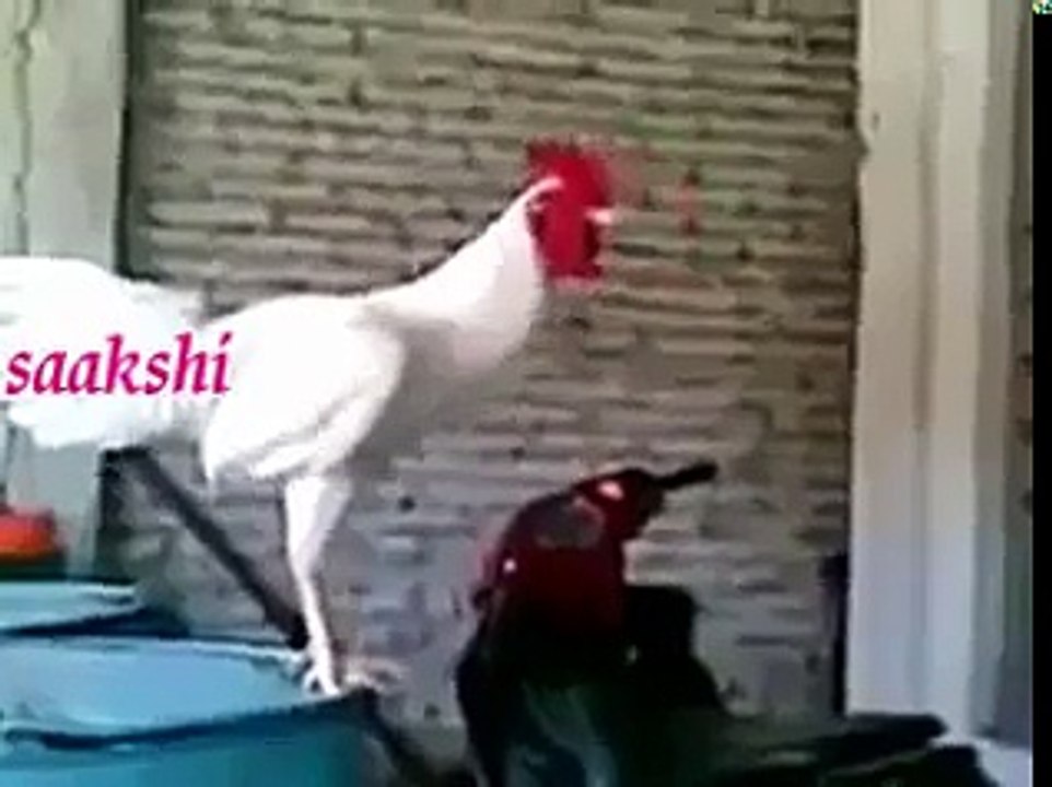 fanny movie