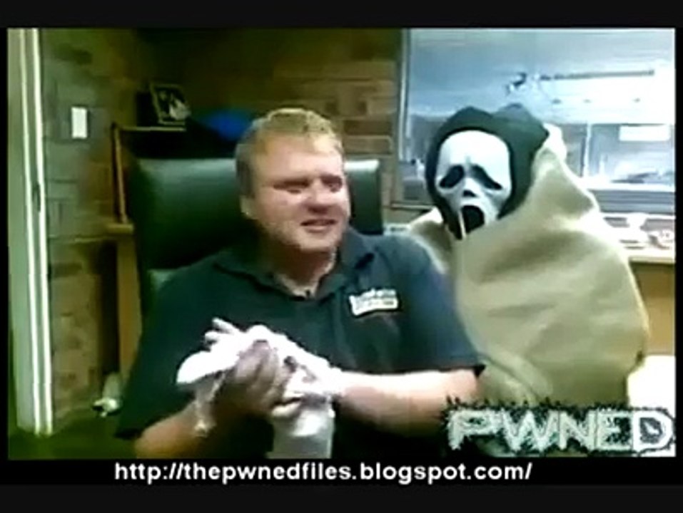 funny video
