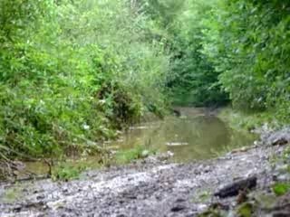 quad apres la pluie.