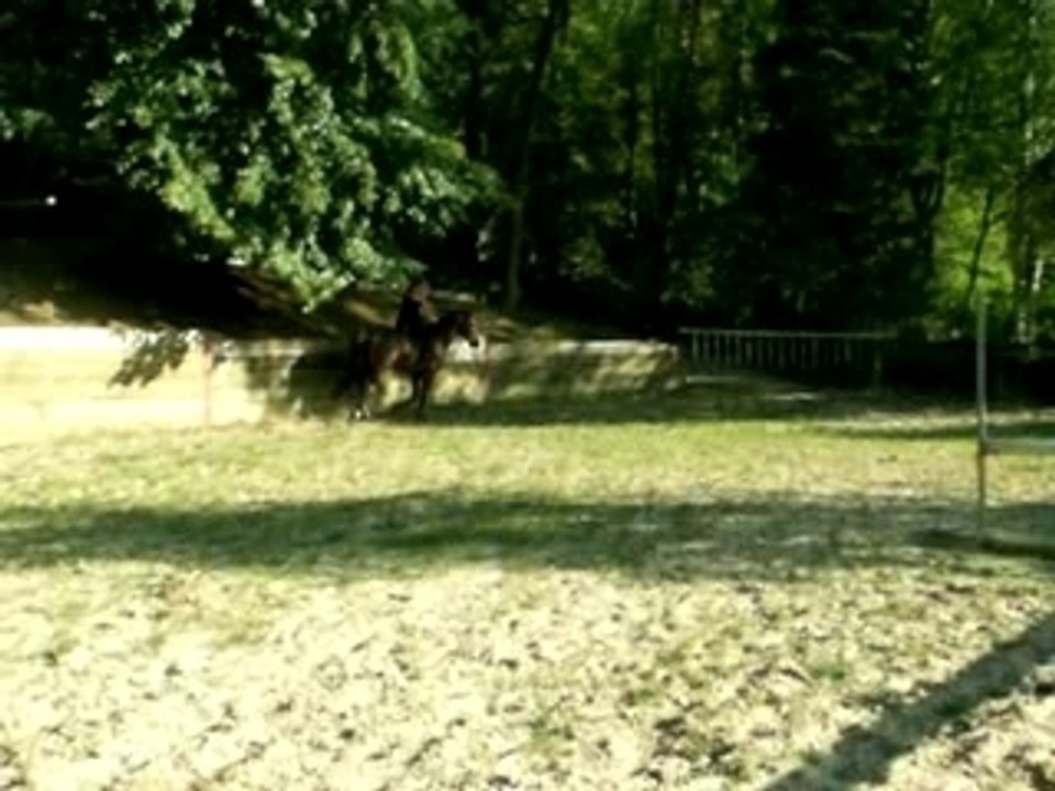 petit droit avec mon loulou