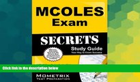 Big Deals  MCOLES Exam Secrets Study Guide: MCOLES Exam Review for the Michigan Commission on Law