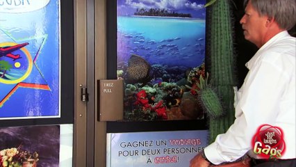 BOOM! CACTUS IN THE FACE