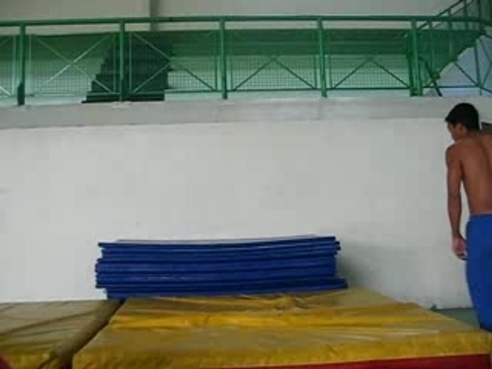 saut de chat