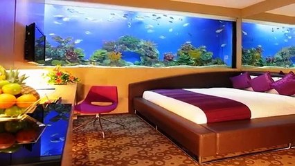 Amazing Home wall Aquariums Design Ideas