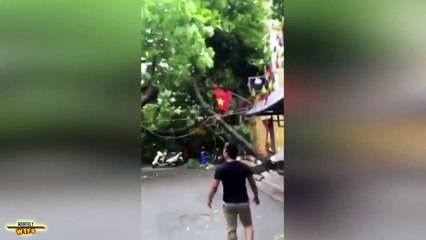 WTF Compilation    August 2016    MonthlyFails