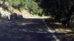 Ce motard se crash contre un arbre - Slow motion impressionnant