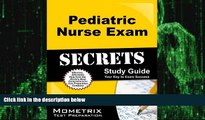 Big Deals  Pediatric Nurse Exam Secrets Study Guide: PN Test Review for the Pediatric Nurse Exam