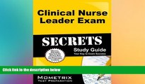 Big Deals  Clinical Nurse Leader Exam Secrets Study Guide: CNL Test Review for the Clinical Nurse