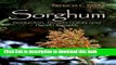 [PDF] Sorghum: Production, Growth Habits and Health Benefits (Agriculture Issues and Policies)