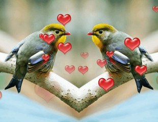 Yıldırım Bekçi Çile Bülbülüm