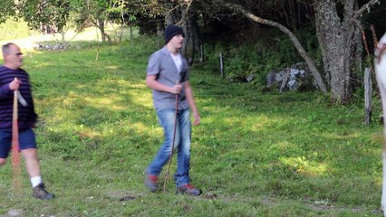 Transhumance Vosges Septembre 2016