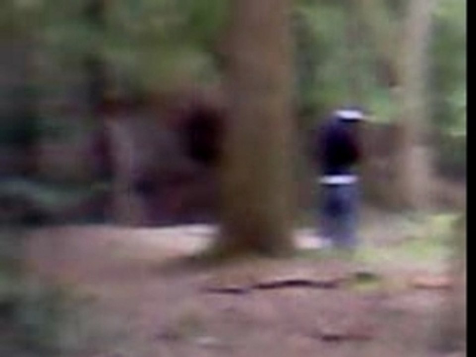 Duel