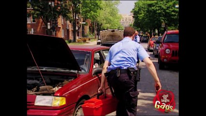 Best Police Pranks Vol. 2 - Best of Just For Laughs Gags