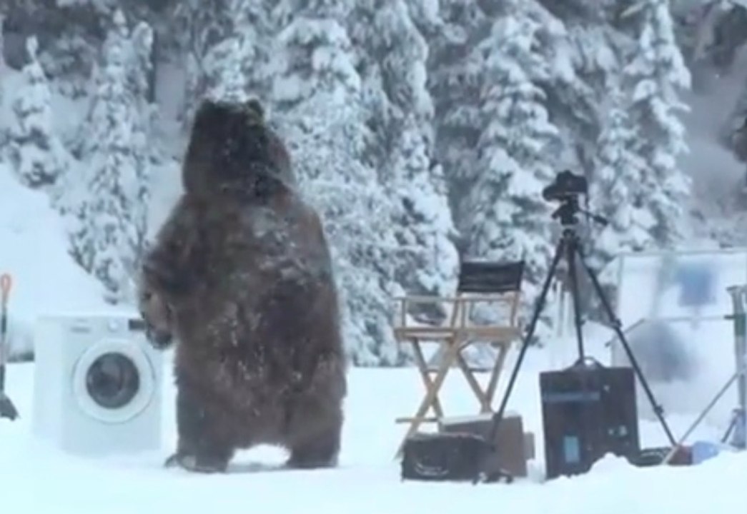 Ils filmaient une pub pour une machine à laver quand soudain, un ours s'avance et surprend tout le monde