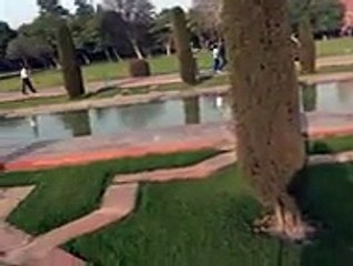 History of TAJ MEHAL Agra India top songs 2016 best songs new songs upcoming songs latest songs sad songs hindi songs bollywood songs punjabi songs movies songs trending songs mujra dance Hot songs - Video Dailymotion