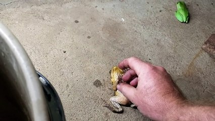 Have You Heard Of Toad Stacking Here's How You Do It