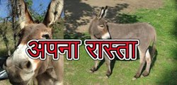 प्रेरणा कथा 27: अपना रास्ता Prerna Katha Apna Raasta