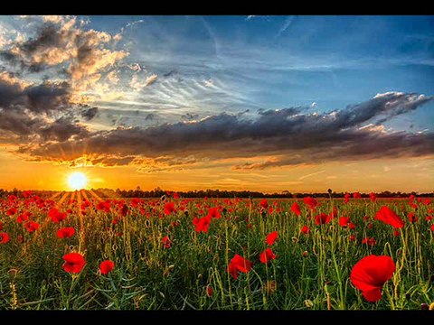 SILVANA ARMENULIC-A STO CEMO LJUBAV KRITI