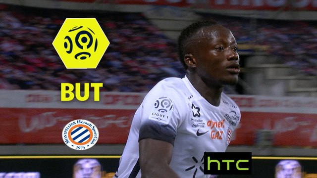 But Casimir NINGA (25ème) / Dijon FCO - Montpellier Hérault SC - (3-3) - (DFCO-MHSC) / 2016-17