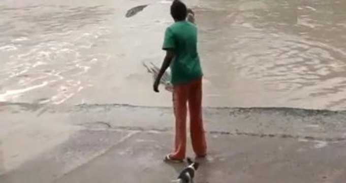 Avustralya'da Nehirde Yüzen Timsahlar Terlikten Korktu