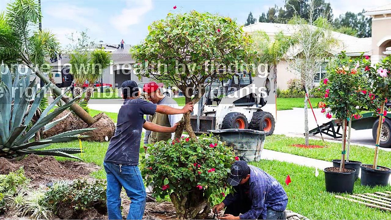 Tips In Caring For Your Lawn
