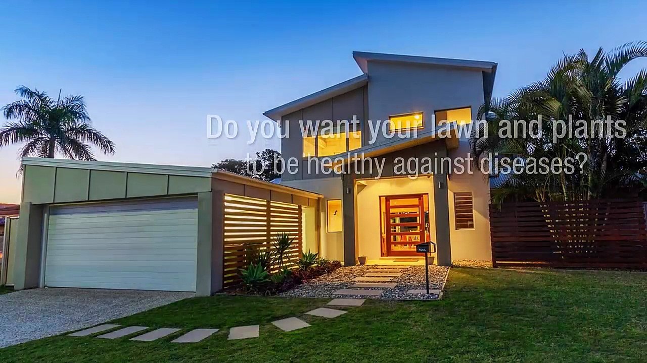 Ways To Care For Your Lawn