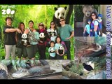 Giant Panda Snakes Crocodile and other Reptiles at San Diego Zoo (part 3) | Liam and Taylor's Corner