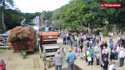 Pleumeur-Bodou (22) La traditionnelle fête du blé noir