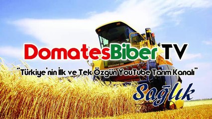 Kaya Tuzunun Faydaları