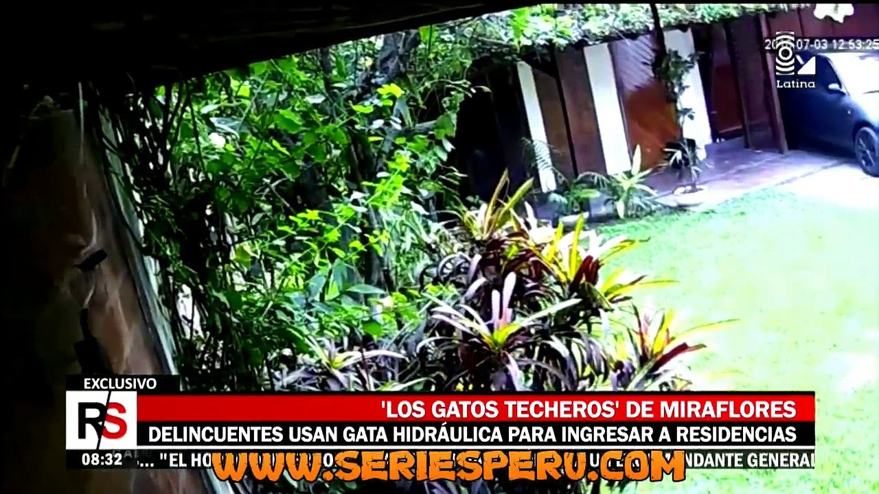 REPORTE