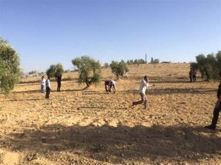 Son Dakika! Kilis'e Atılan Roketin Parçaları İmha Edilirken Patladı: 1 Polis Şehit, 2 Asker Yaralı