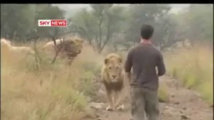 This is shocking! The most amazing thing you'll ever watch